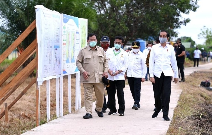 Presiden Tinjau Lokasi Pengembangan Lumbung Pangan Nasional Di ...