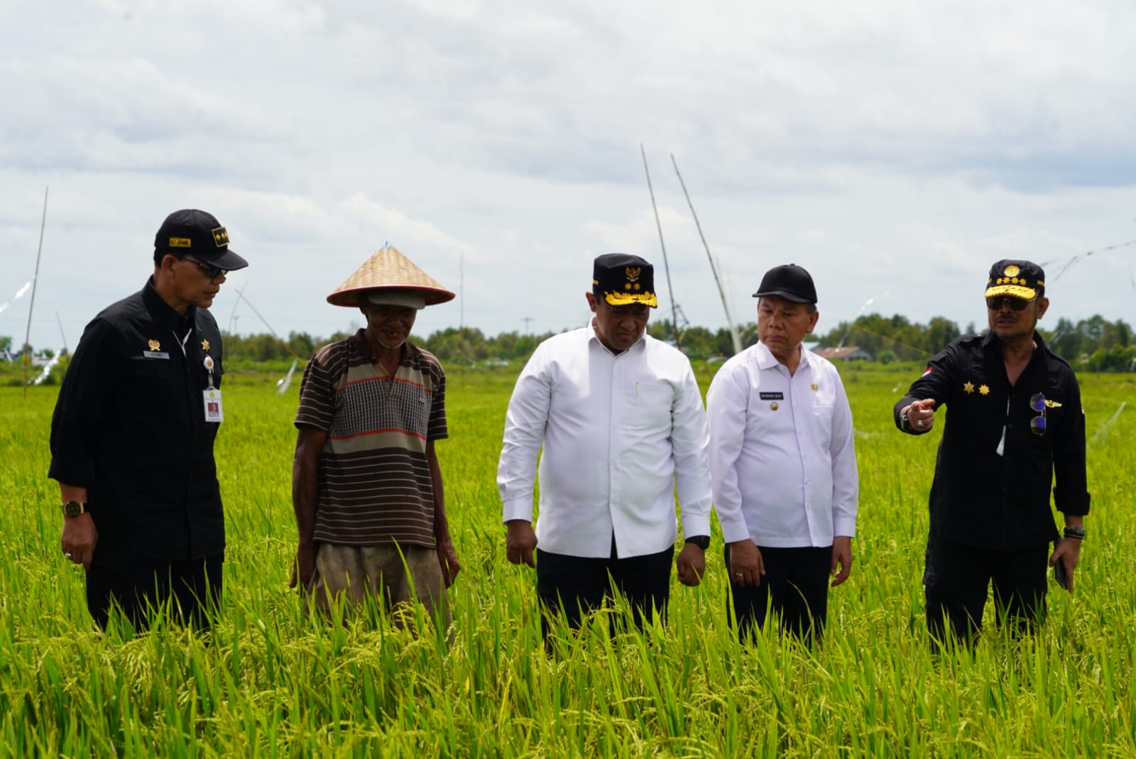 Sukseskan Program Food Estate Di Kalteng - Ini Kalteng