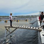 TINJAU : Gubernur Kalteng, Sugianto Sabran bersama Kadis Keluatan dan Perikanan, Darliansjah menyaksikan secara langsung tahap uji konstruksi Shrimp Estate Kalteng BERKAH kawasan shrimp estate, di Desa Sungai Raja, Kabupaten Sukamara, Selasa (9/1/2024). (foto:mmc)