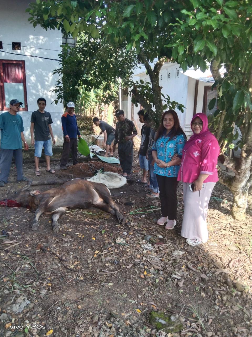 POTONG HEWAN KURBAN: RSUD Tamiang Layang mengadakan perayaan Idul Adha 1445 H dengan menggelar sembelih hewan kurban, Kamis (20/06/2024). (foto:eko)