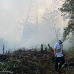 DIKEPUNG ASAP: Petugas PLN saat mengecek kondisi tower transmisi yang sempat dikepung api hingga berasap disekitarnya, Senin (5/8/2024). (foto: PLN)