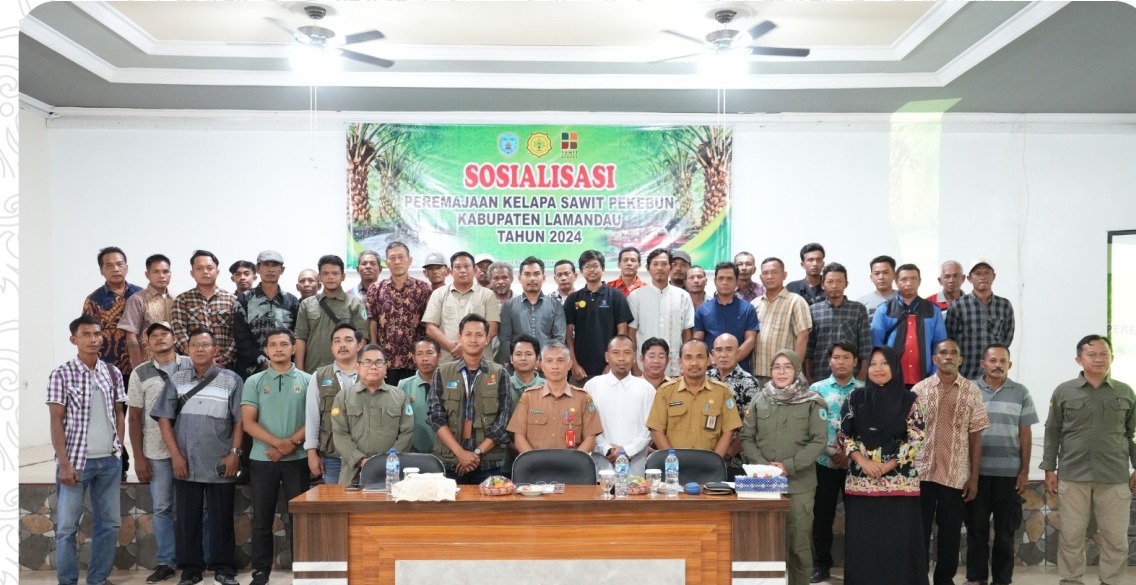 Sosialisasi Program Peremajaan Kelapa Sawit Pekebun